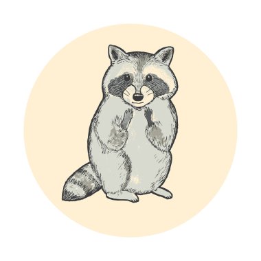 sevimli çizgi handdrawn rakun, vektör çizim
