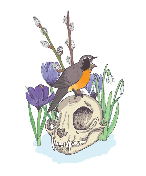 Pássaro Sentado Crânio Flores Primavera Fundo Ilustração Vetorial —  Vetores de Stock