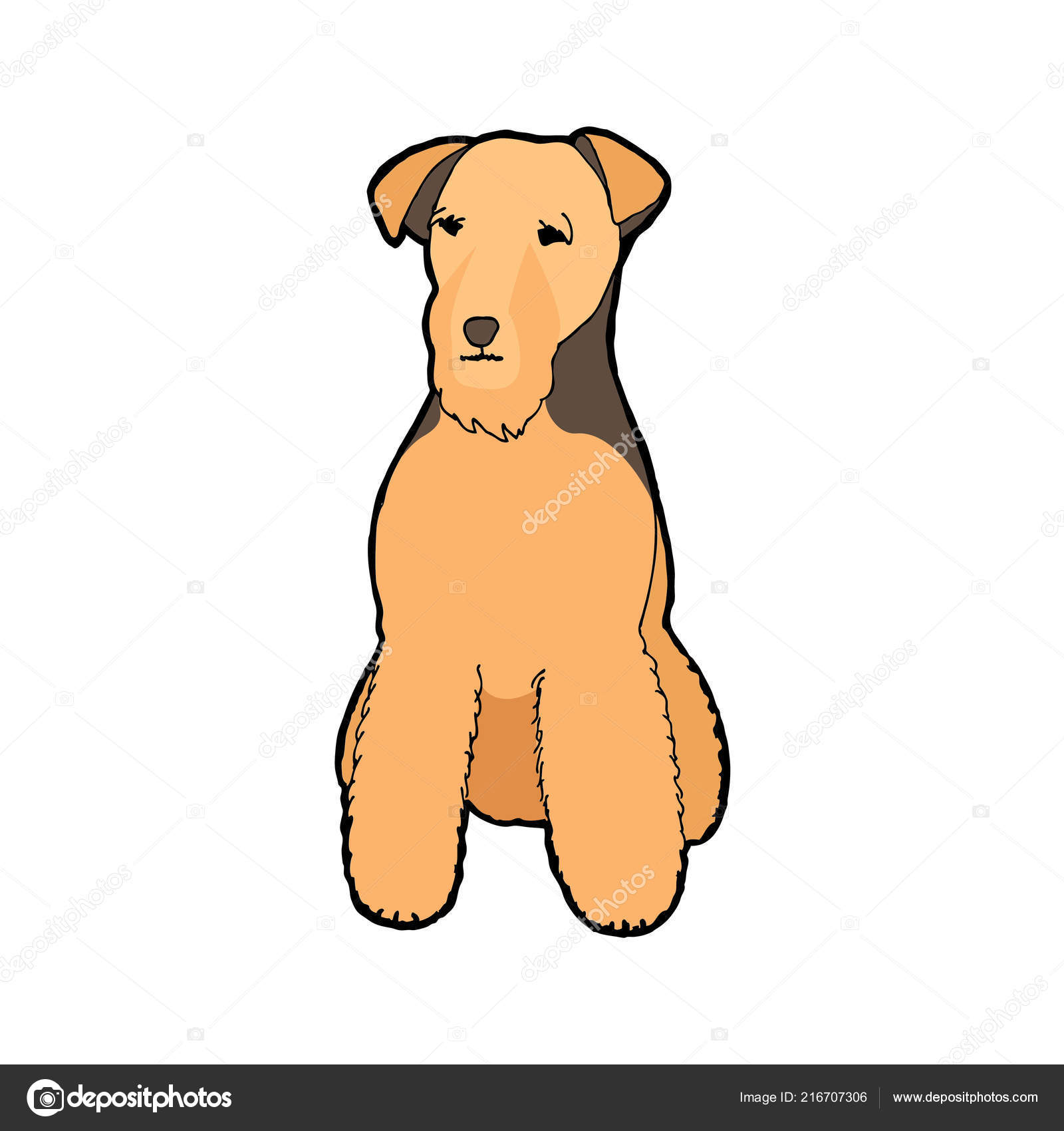 Race Chien Airedale Terrier Décrire Avec Fond Couleur