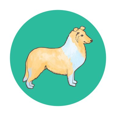 Collie köpek doğurmak. Suluboya arka plan ile anahat. Vektör çizim.