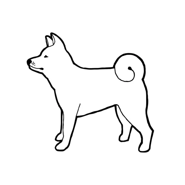 Акіта Собака Породи Векторні Ілюстрації Структури — стоковий вектор