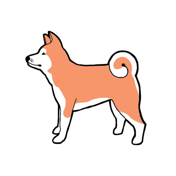 Порода Собак Акита Контур Цветовым Фоном Векторная Иллюстрация — стоковый вектор