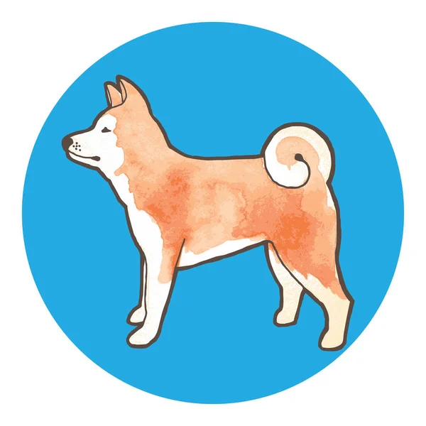Φυλή Σκυλιών Ακιτα Περίγραμμα Ακουαρέλα Φόντο Εικονογράφηση Διάνυσμα — Διανυσματικό Αρχείο