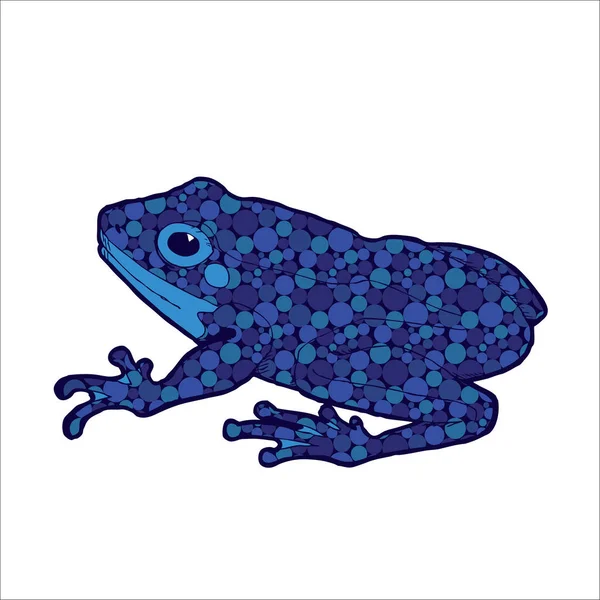 Frosch Skizzenvektorillustration — Stockvektor