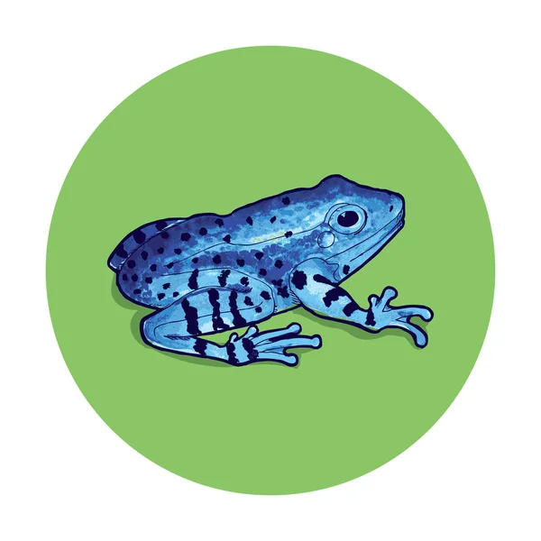 Frog Outline Vector Illustration — Stock Vector