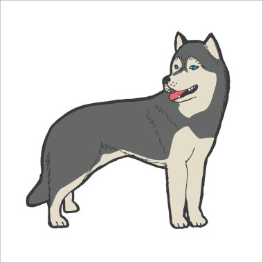 Husky köpek doğurmak. Anahat vektör çizim.
