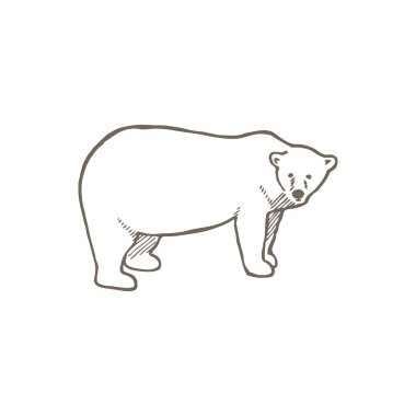 Kutup ayısı. Anahat vektör çizim.