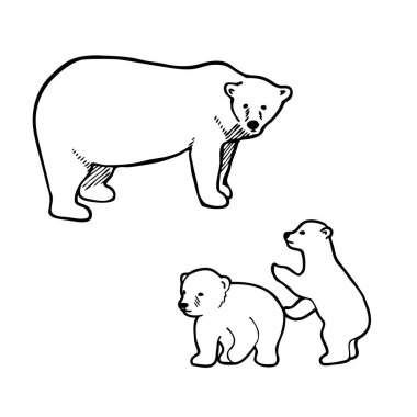 Kutup ayısı yavruları oynarken. Anahat vektör çizim.