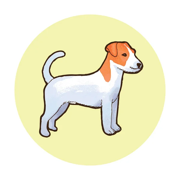 Jack Russell Terrier Hund Rasen Kontur Vektorillustration — Stock vektor