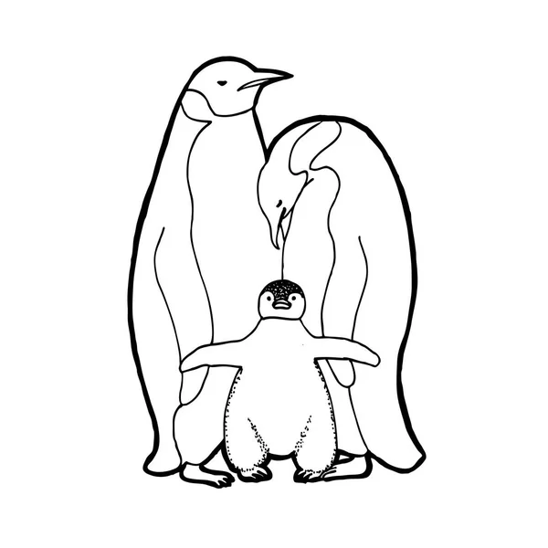 Familia Pingüinos Esquema Ilustración Vectorial — Archivo Imágenes Vectoriales