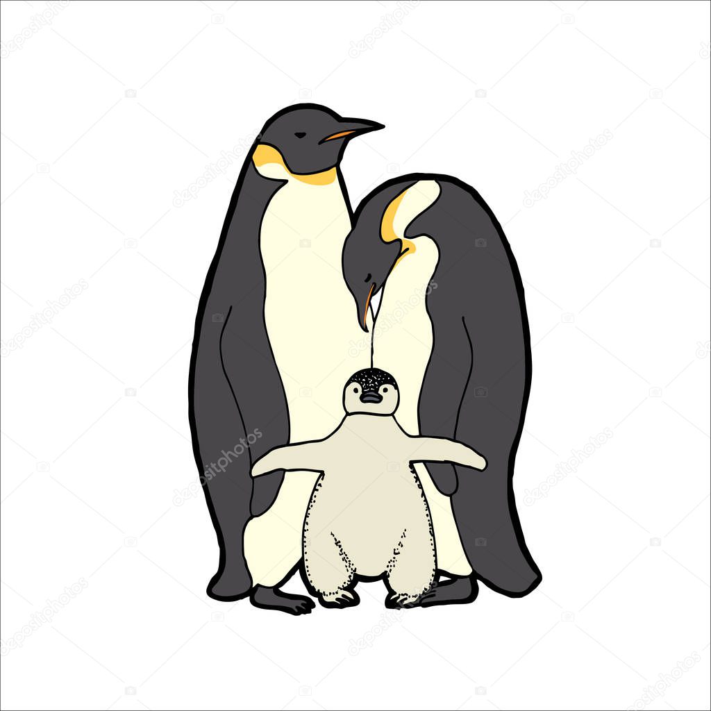 Penguins family. Vector illustration.