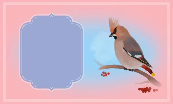 Boheemse Pestvogels Met Kopie Ruimte Frame Roze Achtergrond — Stockfoto