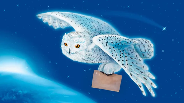 Flying Snowy Owl Post Blue Background — Stock Photo, Image