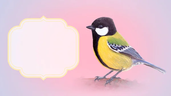 Great Tit Copy Space Frame Pink Background — Stock Photo, Image