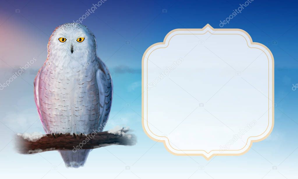 snowy owl and white frame on blue background