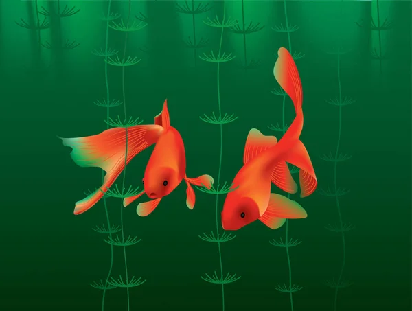 Dvě Zlaté Ryby Plavání Tmavě Zelené Vody Vektorové Ilustrace — Stockový vektor