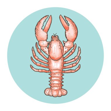 Kerevit vektör Illustration. Beyaz arka plan üzerinde çizim anahat