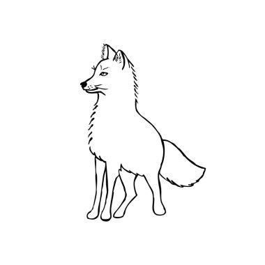 Fox vektör Illustration. Beyaz arka plan üzerinde çizim anahat  