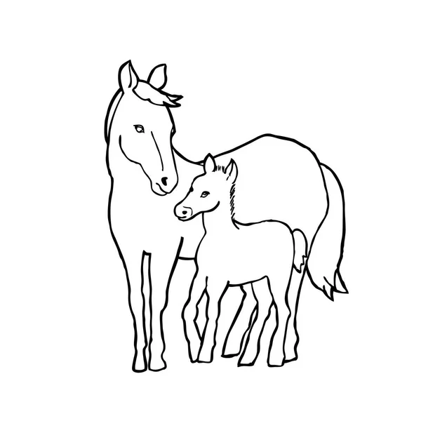 Векторная Иллюстрация Двух Лошадей Рисунок Контура Белом Фоне — стоковый вектор