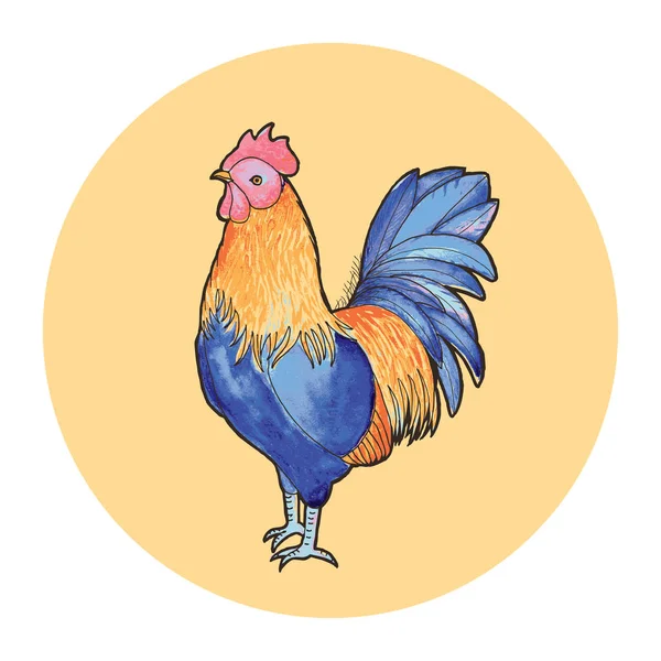 Ilustración Vectorial Del Gallo Dibujo Del Contorno Sobre Fondo Blanco — Vector de stock