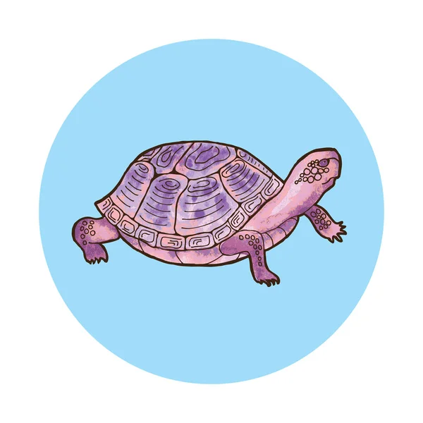 Illustration Vectorielle Tortue Schéma Dessin Sur Fond Blanc — Image vectorielle