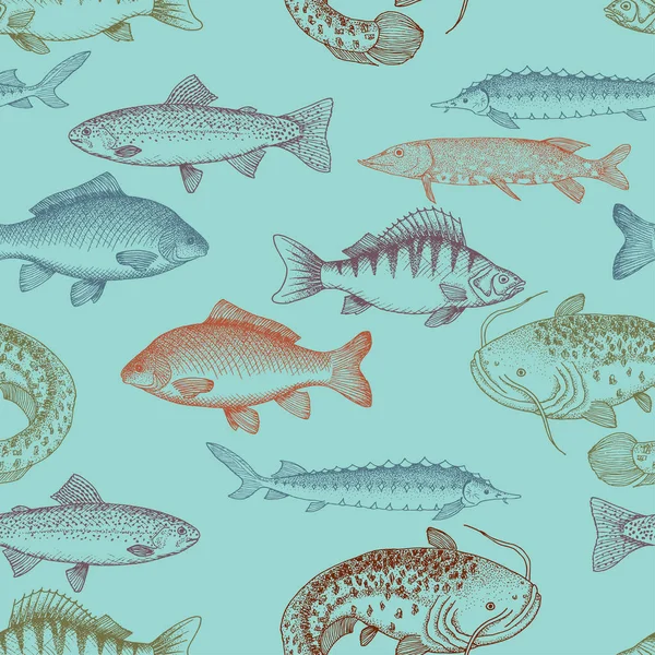 Modèle Avec Nombreux Poissons Dans Style Vintage Truite Arc Ciel — Image vectorielle