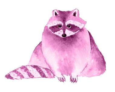 Rakun. Pembe. Tek renkli sulu boya illustraition.