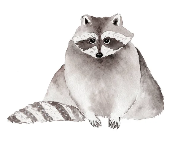 Raccoon Monochrome Watercolor Illustraition — Stock Photo, Image