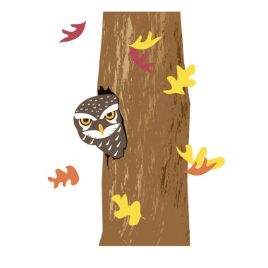 Oyuk ağaçtaki baykuş. Vektör illüstrasyonu beyazda izole edildi