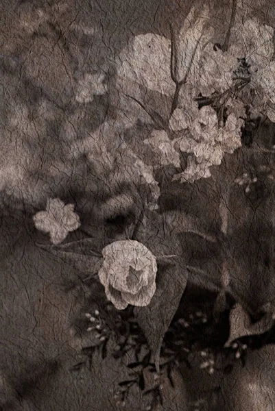 Eine Nahaufnahme einer Blume Hochwertiges Foto. lizenzfreie Stockbilder
