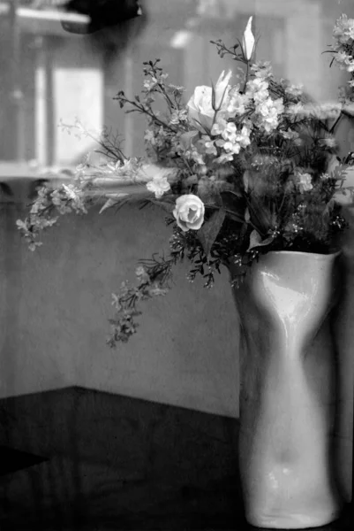 Un primo piano di un fiore Foto di alta qualità. — Foto Stock