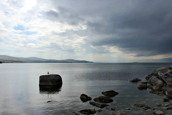 Baykal, Olkhon üzerinde bir martı 