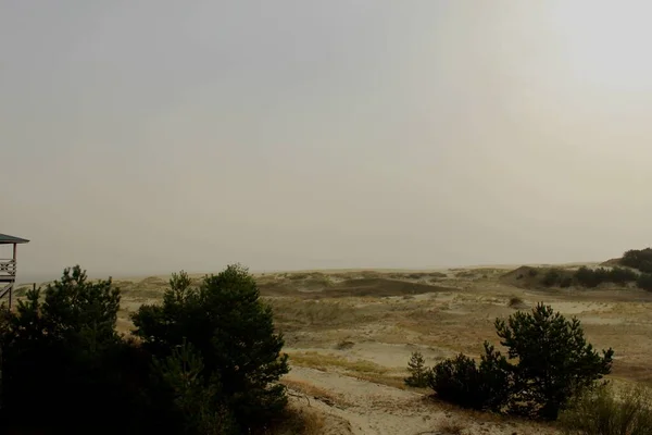 Curonian Spit, Kaliningrad bölgesi, Rusya