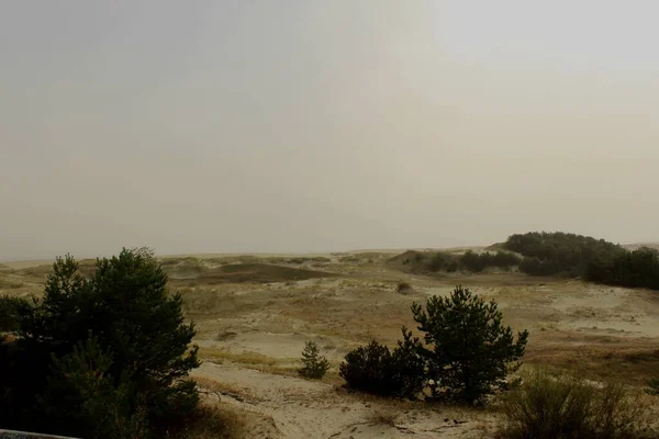 Curonian Spit, Kaliningrad bölgesi, Rusya