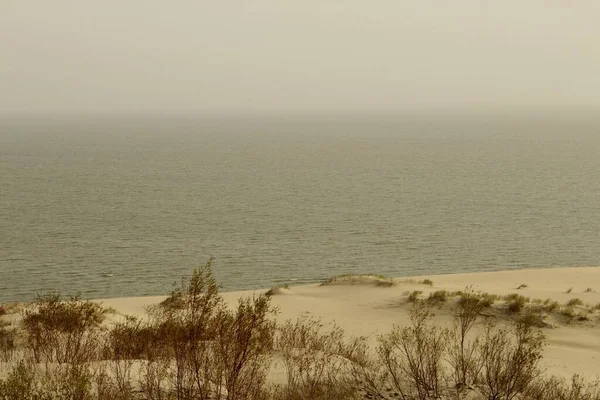 Curonian Tükürüğü, Baltık Denizi