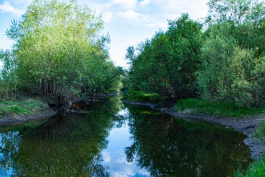 durgun masalların büyüsü