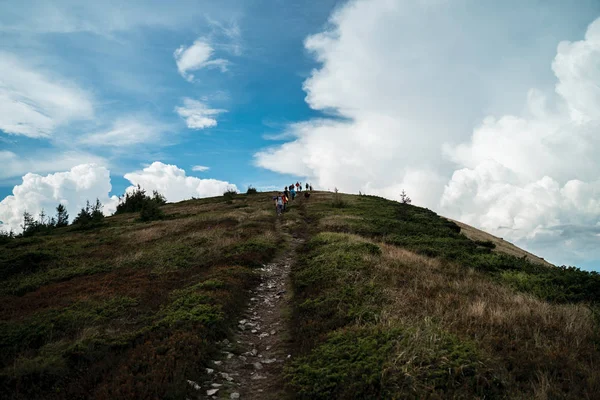 Beautiful Landscapes Carpathian Mountains — Stock Photo, Image