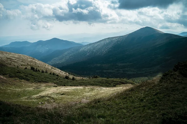 Красивими Пейзажами Карпатських Гір — стокове фото