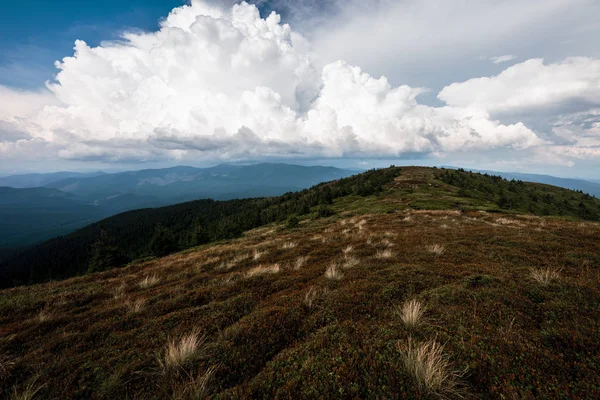 Lindas Paisagens Das Montanhas Cárpatas — Fotografia de Stock