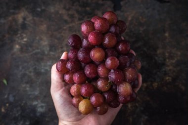 Rustik arka plan üzerinde Vietnamca üzüm