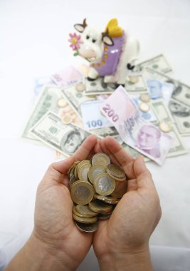 Tatlı inek para banka