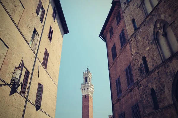 Torre Del Mangia Piazza Del Campo Siena — Stok fotoğraf