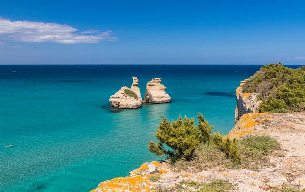 Torre dell 'Orso körfezi, yüksek uçurumları, Salento, Puglia, İtalya. Turkuaz deniz ve mavi gökyüzü, yazın güneşli bir gün. Yığınlar İki Kız Kardeş 'i çağırdı. Bir insan berrak suda yüzer.