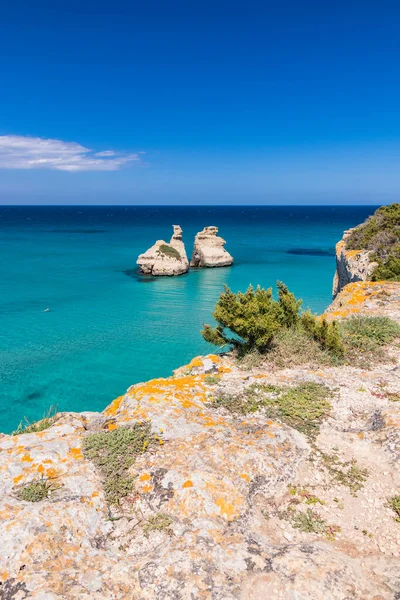 Torre dell 'Orso körfezi, yüksek uçurumları, Salento, Puglia, İtalya. Turkuaz deniz ve mavi gökyüzü, yazın güneşli bir gün. Yığınlar İki Kız Kardeş 'i çağırdı. Bir insan berrak suda yüzer.