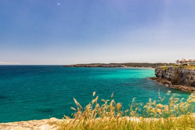 Torre dell 'Orso körfezi, yüksek uçurumları, Salento, Puglia, İtalya. Turkuaz deniz ve mavi gökyüzü, yazın güneşli bir gün. Resifin yukarısında bazı evler. Önplanda çimen ve otlar