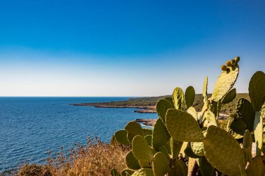 Porto Selvaggio 'nun harika körfezi. Nardo, İtalya, Puglia, Salento 'da. Torre dell 'Alto, güvertenin tepesindeki gözetleme kulesi. Tuğla ve taş yapımı. Yazın mavi gökyüzü.