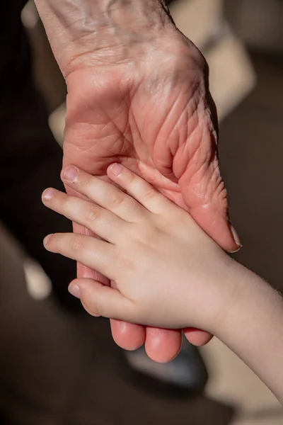 年配の女性 おばあちゃん おばあちゃん は孫娘の小さな手を握っている 家族の団結 年齢や世代の違い 若い手で高齢者やしわの手 — ストック写真