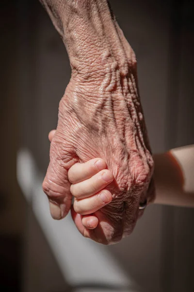 Eine Ältere Frau Alte Dame Großmutter Hält Die Kleinen Hände — Stockfoto
