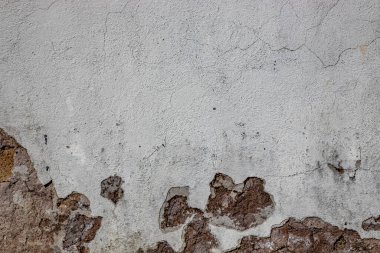 Gri duvar zaman, kötü hava ve nem yüzünden mahvoldu. Çatlaklar, küf, soyulmuş boya ve alçı. Tuğlalar açıldı. Doku, malzeme arkaplan.