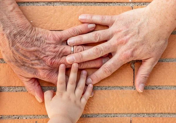 Tre Mani Insieme Nonna Donna Anziana Madre Figlia Nipote Unità — Foto Stock